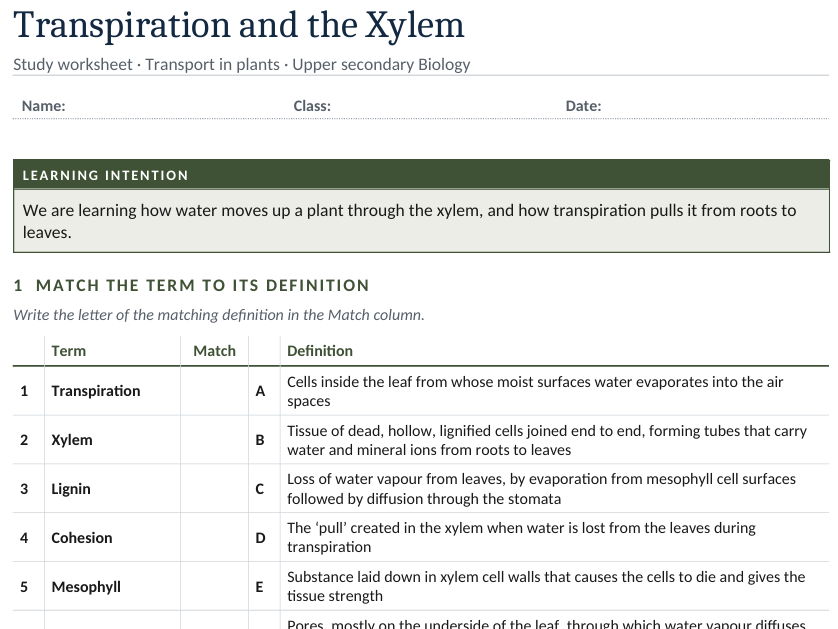 Transpiration and Xylem Worksheet