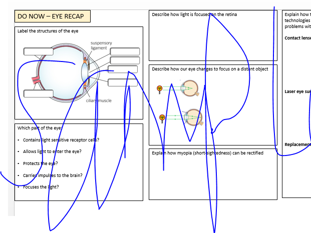 Eye revision sheet - AQA Biology 9-1