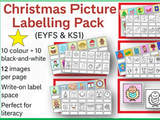 Christmas Picture Labelling EYFS & KS1