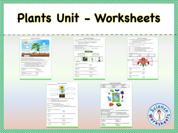 Plants - Worksheets | Printable and Distance Learning