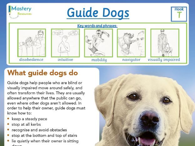 Guide Dogs Comprehension KS2