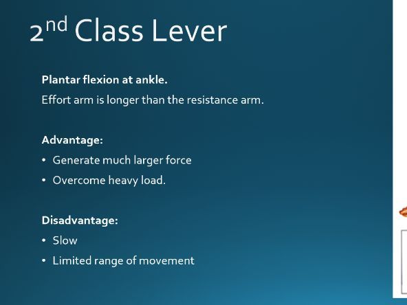 GCSE PE Movement Analysis - Levers, Planes and Axes