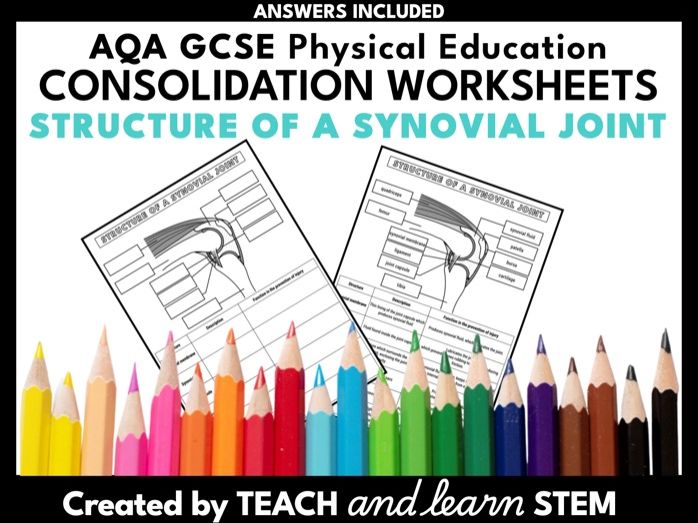 Structure of a Synovial Joint Worksheet | GCSE PE