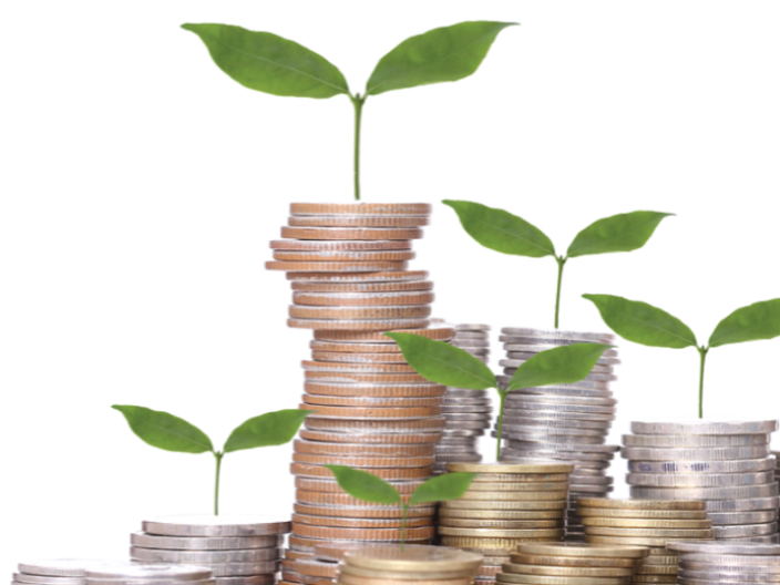 THE ROLE OF MONEY AND FINANCIAL MARKETS - 'ROLE OF MONEY'