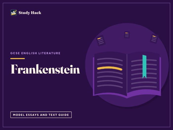 GCSE English Literature Frankenstein Complete Revision and Teaching Pack