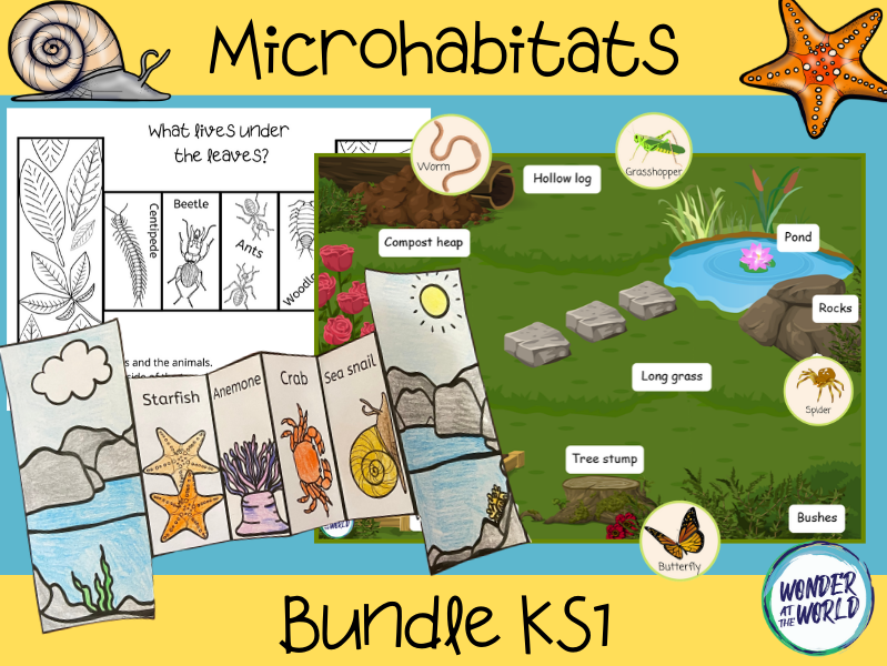 Microhabitats activity bundle KS1 Teaching Resources
