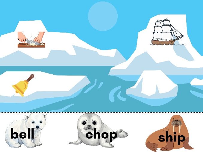 Polar Animals CVC & Digraph Matching Activity – Phase 2 & 3 -4 sheets