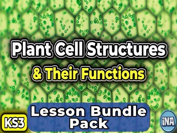 Plant Cell Structures and Their Functions - Complete KS3 Biology Lesson Pack