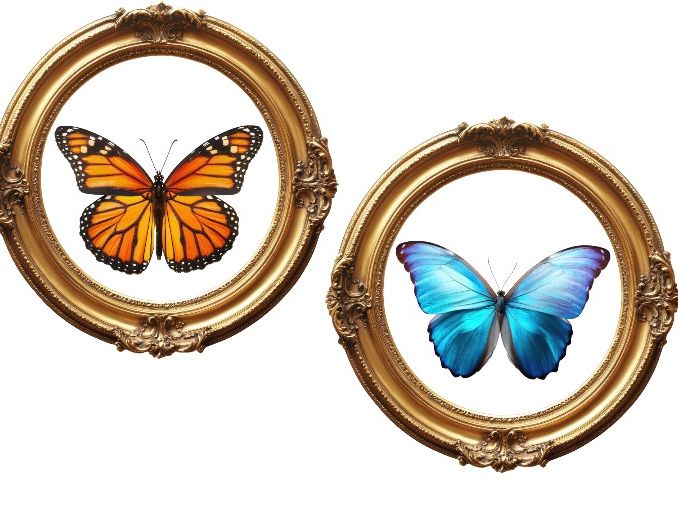 Butterfly Template Sheet – 3 Designs + 8 Picture Examples | EYFS Craft Activity