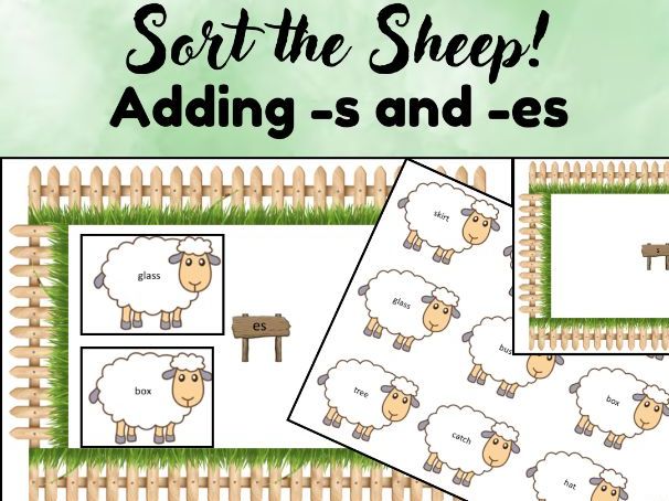 Sort the Sheep! 's' and 'es' Spelling Rule