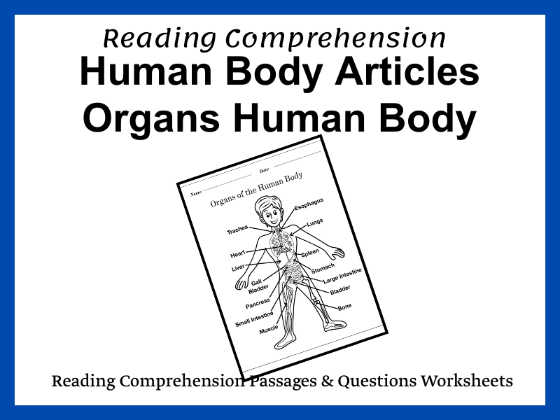 Organs of the Human Body: Reading Comprehension Passages & Questions Worksheets