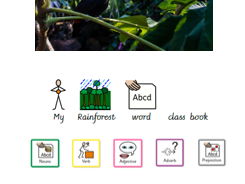 Rainforest Widgit Word Book
