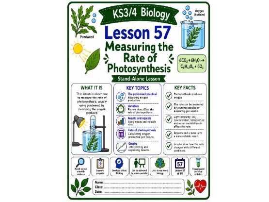 Measuring the rate of photosynthesis cover lesson (L57)