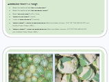Assembly Pack - Harvest Enough food to eat KS1 & KS2
