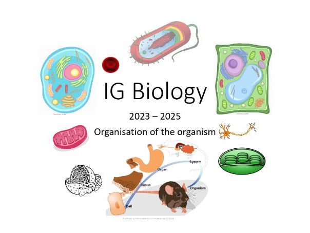 IG Biology 2 Organisation of the organism