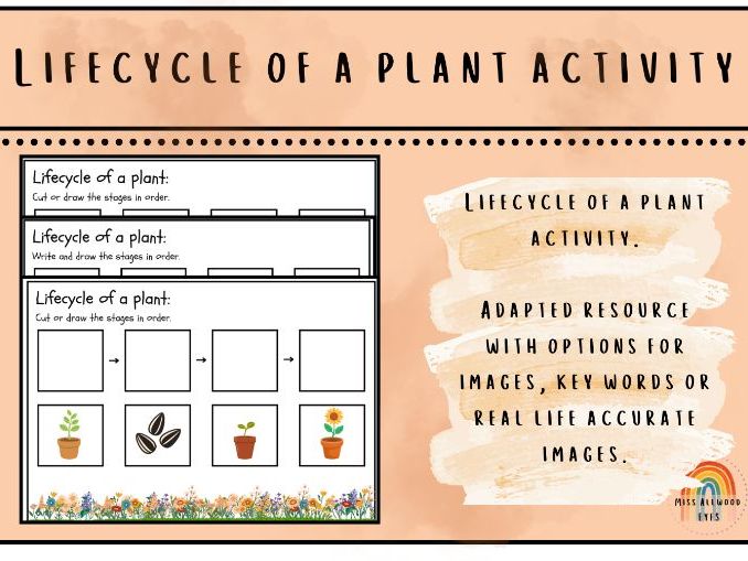 EYFS Plant Life Cycle Activity – Sequencing & Growth Worksheet