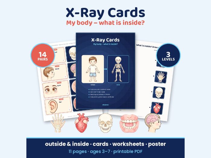 My Body X-Ray Cards - What Is Inside? EYFS