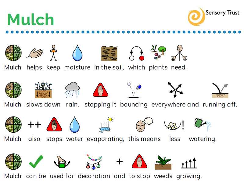 Climate Cooler Schools: all about mulch