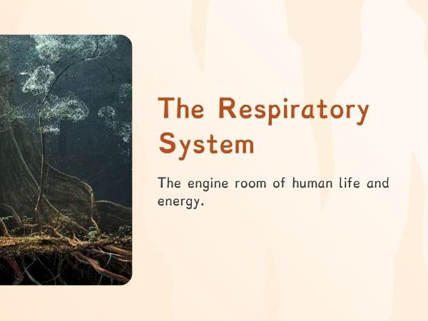 Y9 - Organisms- The Respiratory System: How Do We Breathe? (PPT + Worksheet)