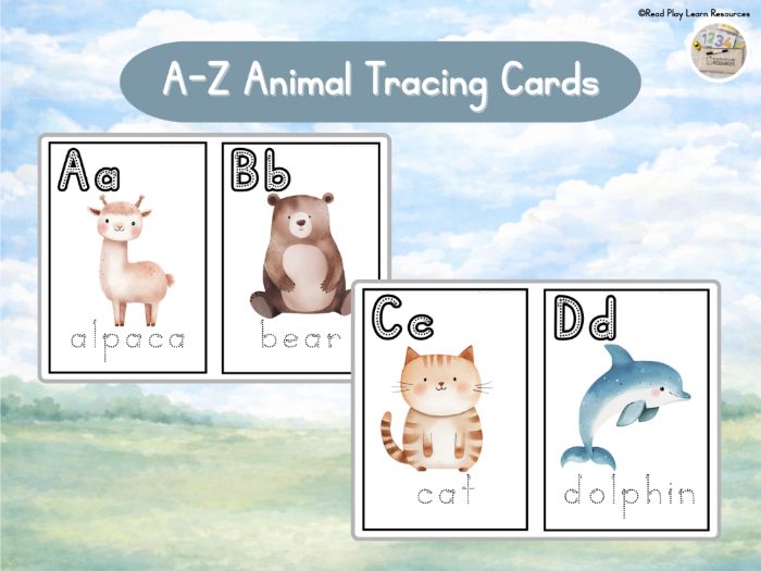 Animal Alphabet Pack A-Z Tracing Cards | EYFS | Letter Formation | Initial Sounds
