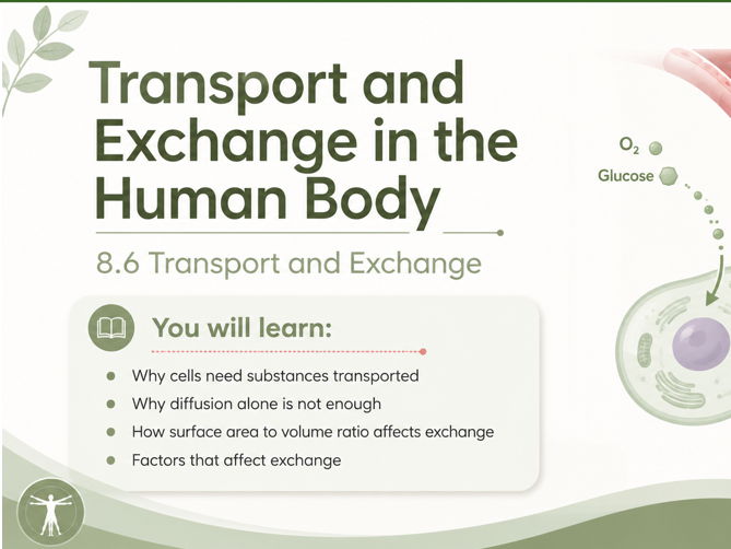 T Level Health Metabolism & Transport 8.6–8.7