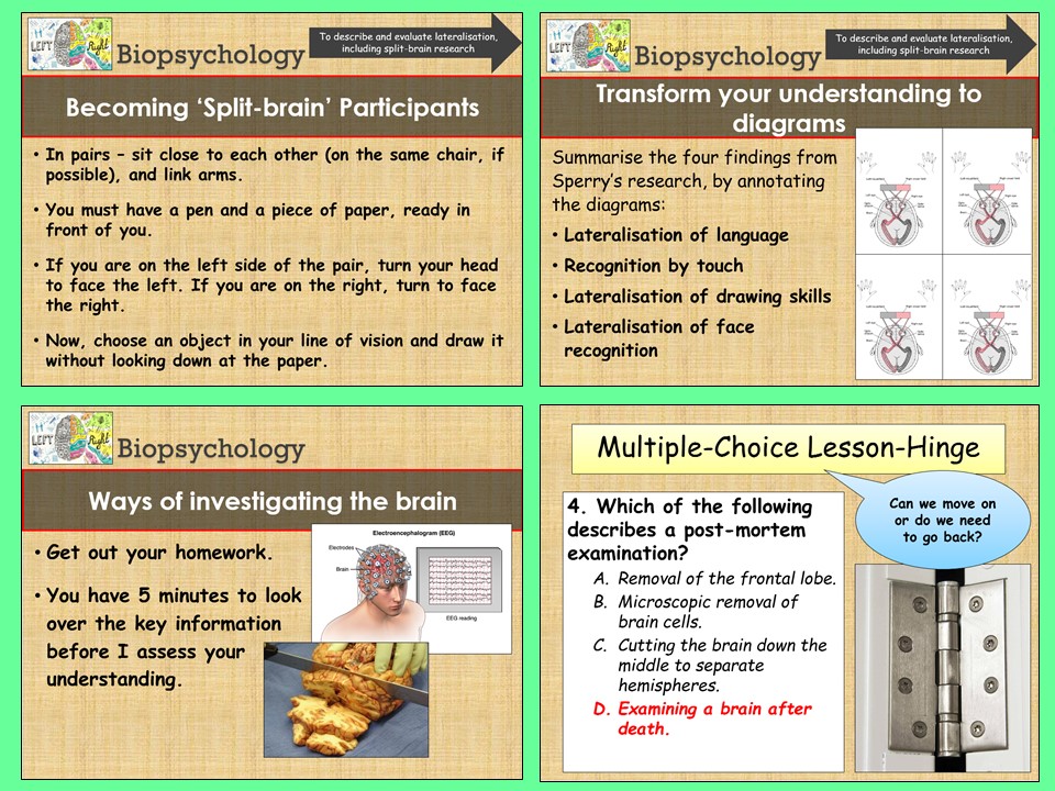 Level psychology homework year 4