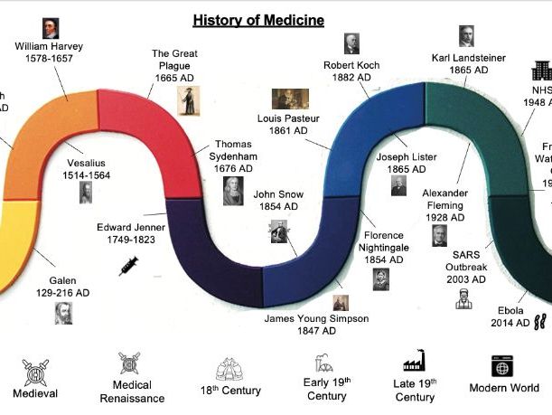 Medicine graphic organiser and knowledge notes