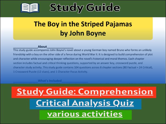 The Boy in the Striped Pajamas - Comprehension Test & Activities