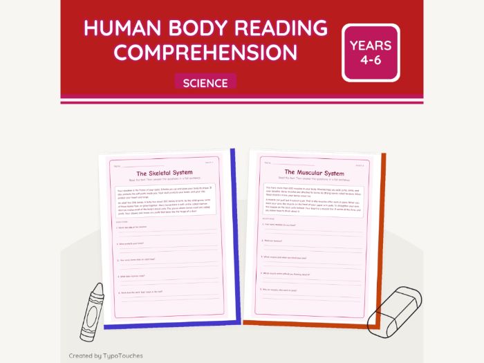 Human Body Reading Comprehension | 10 Sheets