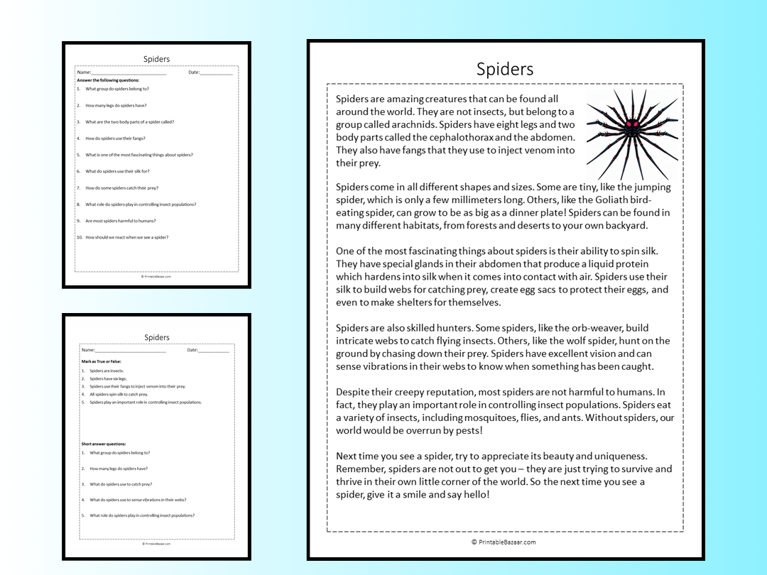 Spiders Reading Comprehension Passage Printable Worksheet | Teaching ...