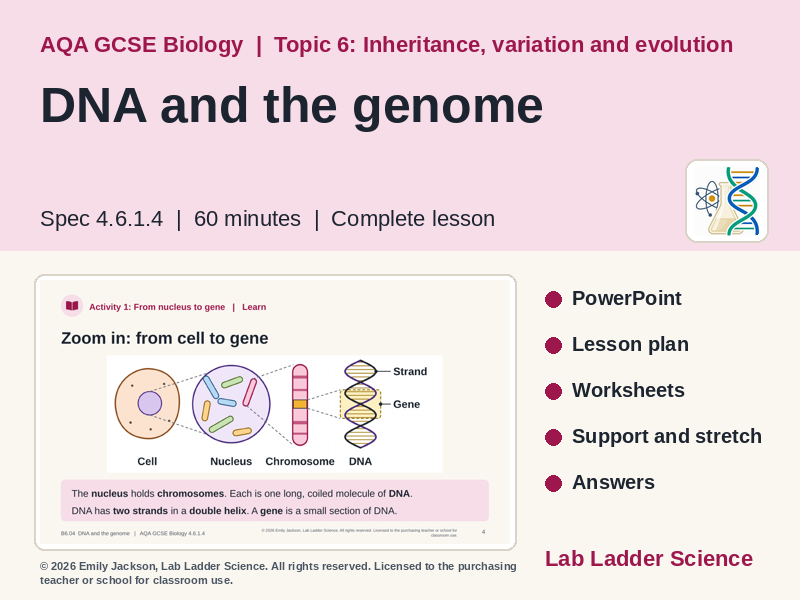 B6-04 DNA & the Genome: AQA GCSE Biology
