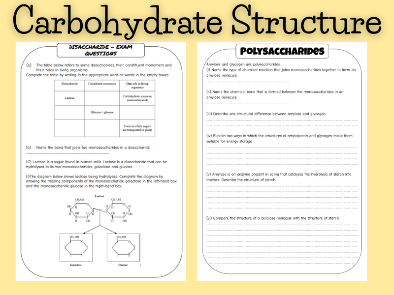 Carbohydrate Structure Disaccharides And Polysaccharides Worksheet