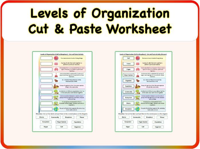 Levels of Organization (Cell to Biosphere) - Cut and Paste Worksheet Activity, Printable PDF