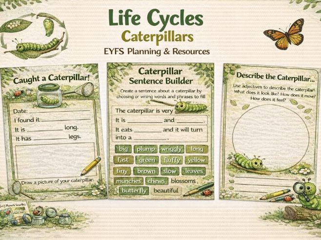 EYFS Life Cycles