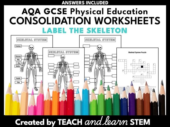 Label the Skeleton  Diagram Worksheet | AQA GCSE PE
