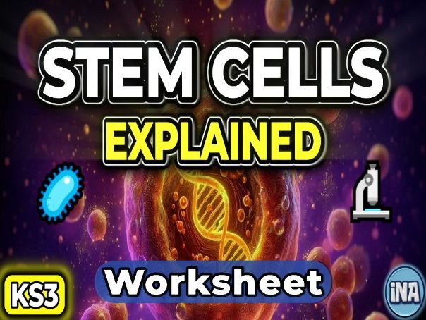 Stem Cells in Animals - KS3 Biology Worksheet