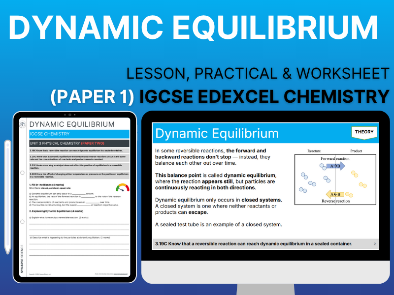 Dynamic Equilibrium – Lesson & Worksheet (Triple)