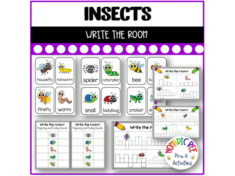 Insects 'Write the Room'