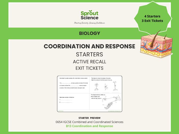 B13 Coordination and Response | Starter Activities & Exit Tickets | IGCSE Biology