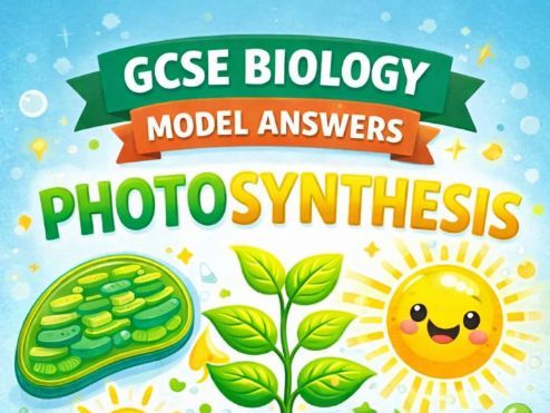GCSE Biology Model Answers: Photosynthesis