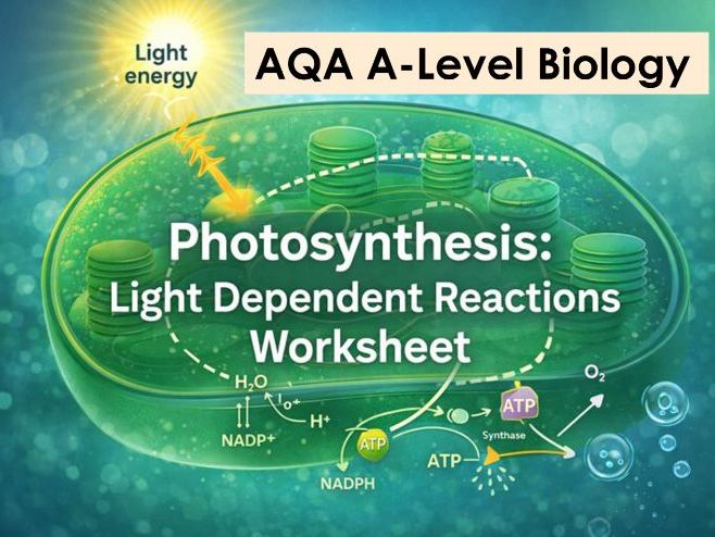 Photosynthesis. LDR. AQA A-level Biology. SOLO Worksheet and Answers