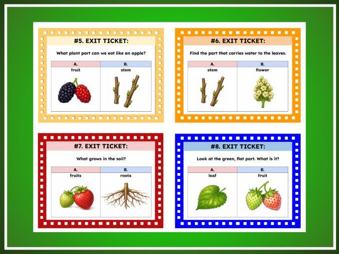 Parts of Plants | Kindergarten Science | TEKS K.13A