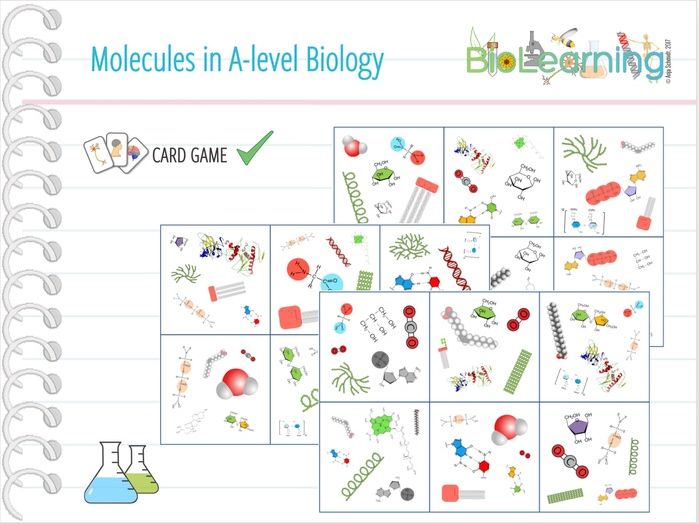 Molecules in A level Biology Card Game (KS5) Teaching Resources