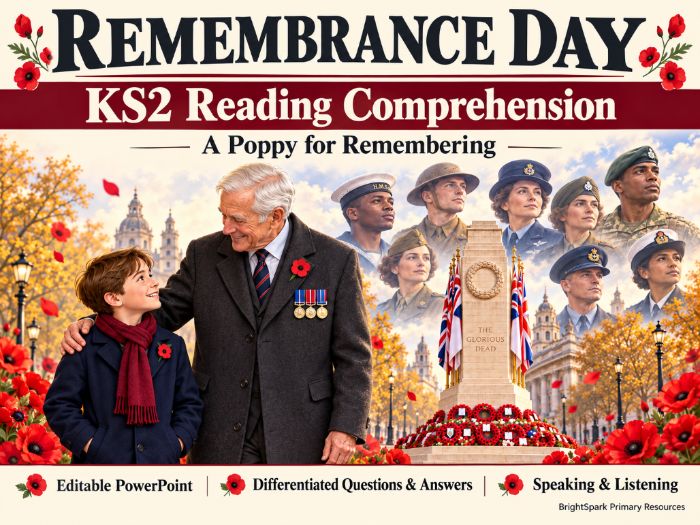 KS2 Remembrance Day Comprehension Lesson