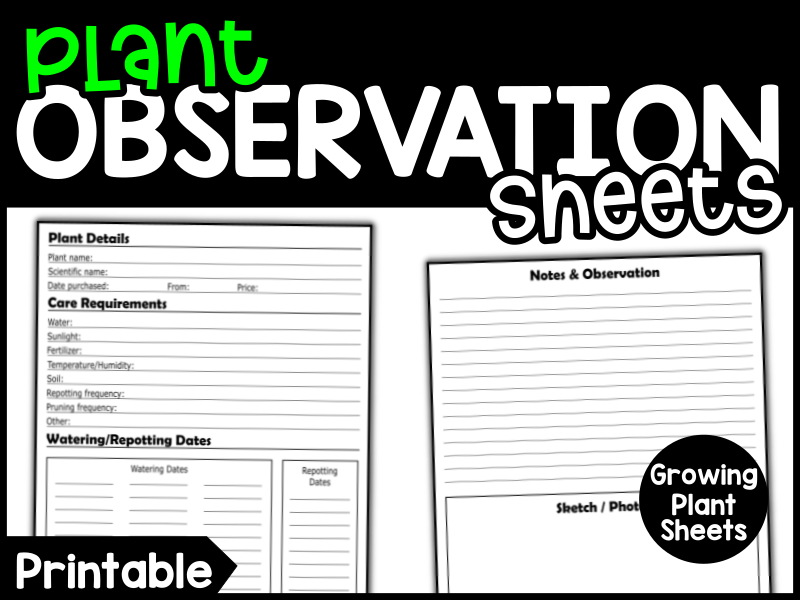 Plant/Seed Observation Sheet (Growing Plants)