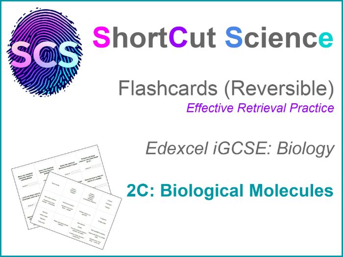 Flashcards Bio IGCSE Edexcel: Biological Molecules