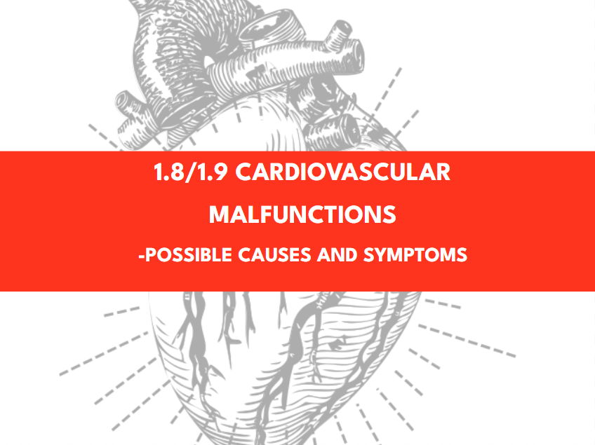 Level 3 Health + Social Care L04 1.8/1.9 Cardiovascular malfunctions