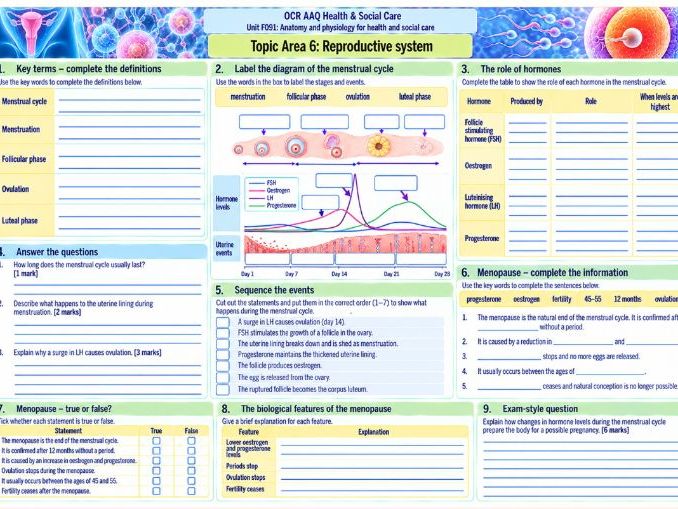 AAQ OCR Health & Social Care F091 Anatomy & Physiology A3 revision activities