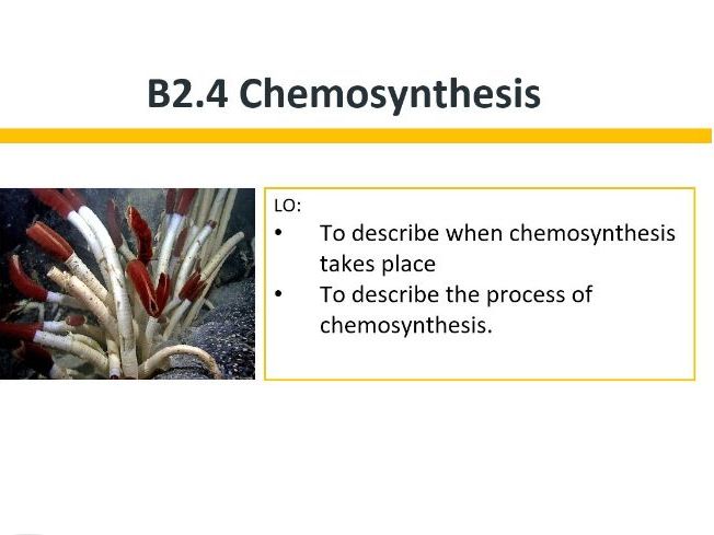 B2.4 Chemosynthesis (Slides & Plan)