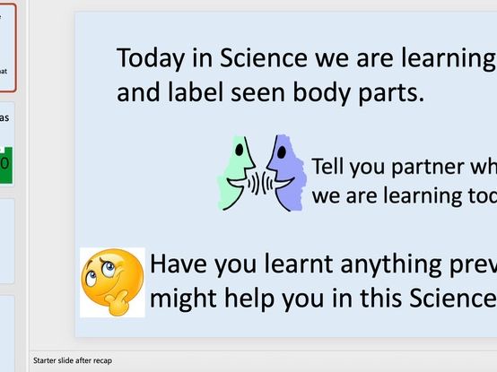 KS1 SCIENCE - body parts and senses